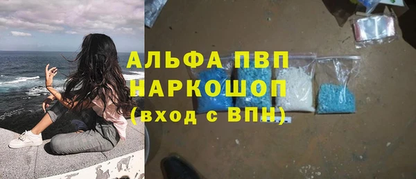 дживик Богородск