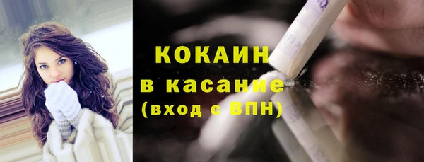молекула духа Богданович