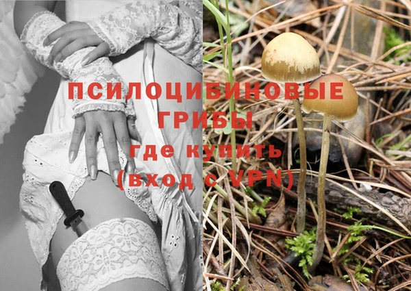 дживик Богородск