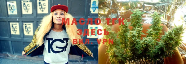 молекула духа Богданович