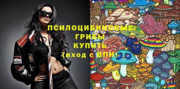 дживик Богородск