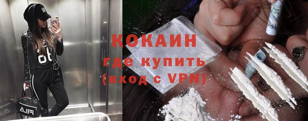 дживик Богородск