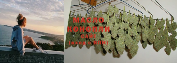 молекула духа Богданович