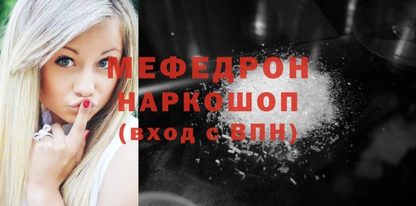 молекула духа Богданович