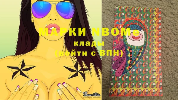 молекула духа Богданович